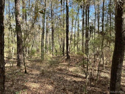 7.8 ACRES MARY MCCLENDON ROAD, SKIPPERVILLE, AL 36374, photo 5 of 8