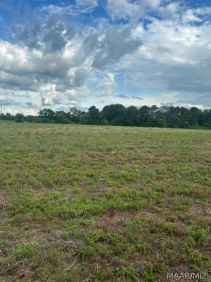 00 AL 125 HIGHWAY # LOT 2, BRUNDIDGE, AL 36010, photo 2 of 2