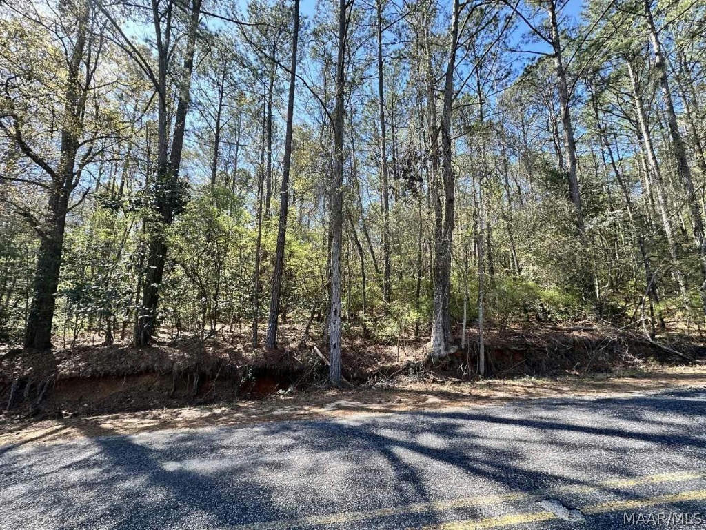 7.8 ACRES MARY MCCLENDON ROAD, SKIPPERVILLE, AL 36374, photo 1 of 8