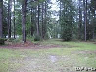 NOT ASSIGNED FOREST LAKE DRIVE, ELBA, AL 36323 - Image 1