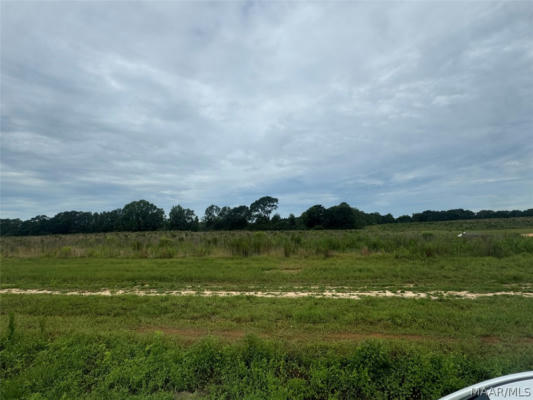 LOT 6 BLK A COUNTY ROAD 625, NEW BROCKTON, AL 36351 - Image 1