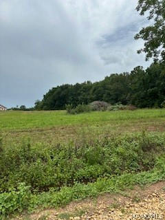 LOT 19 COUNTY ROAD 613, NEW BROCKTON, AL 36351 - Image 1