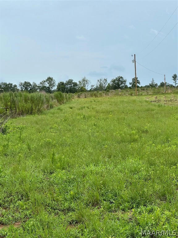 LOT 17 COUNTY ROAD 613, NEW BROCKTON, AL 36351, photo 1 of 8