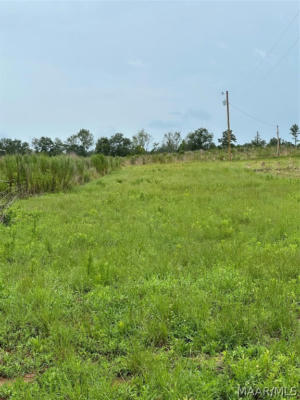 LOT 17 COUNTY ROAD 613, NEW BROCKTON, AL 36351 - Image 1