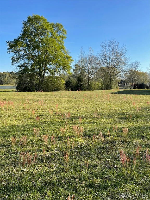 TBD COUNTY ROAD 680, COFFEE SPRINGS, AL 36318, photo 1 of 6