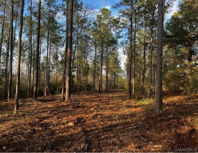 LOT 4A COUNTY ROAD 651, COFFEE SPRINGS, AL 36318, photo 1 of 3