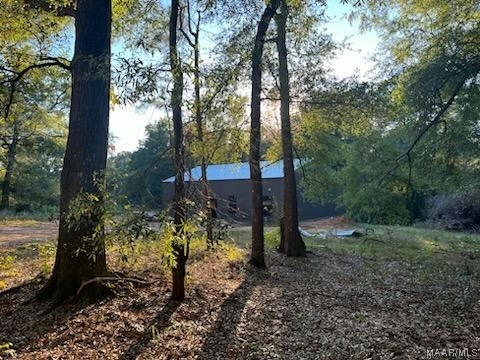 TBD COUNTY ROAD 69, SKIPPERVILLE, AL 36374, photo 1 of 13